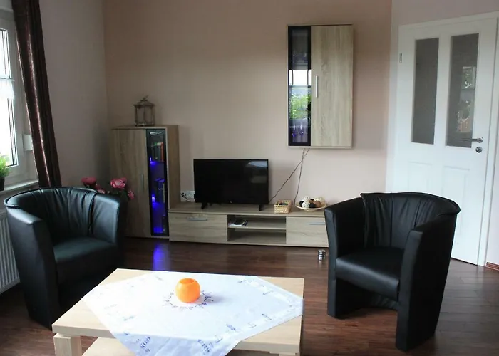 Schaumann דיצום