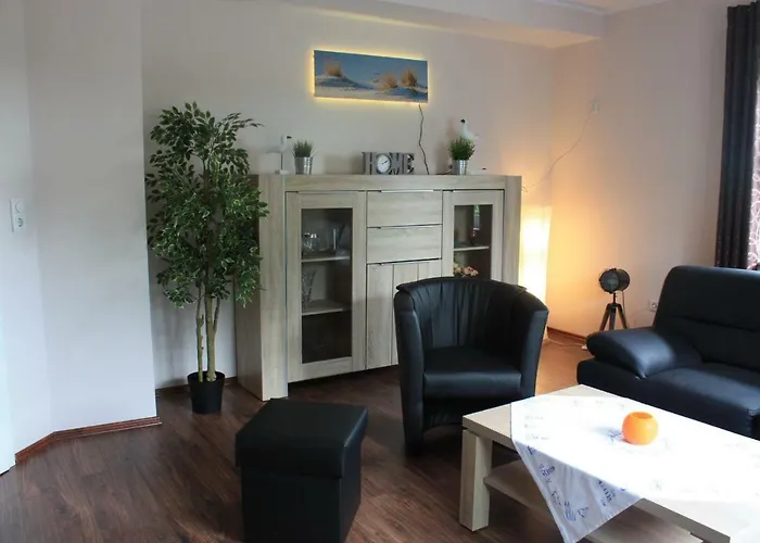 Schaumann דיצום